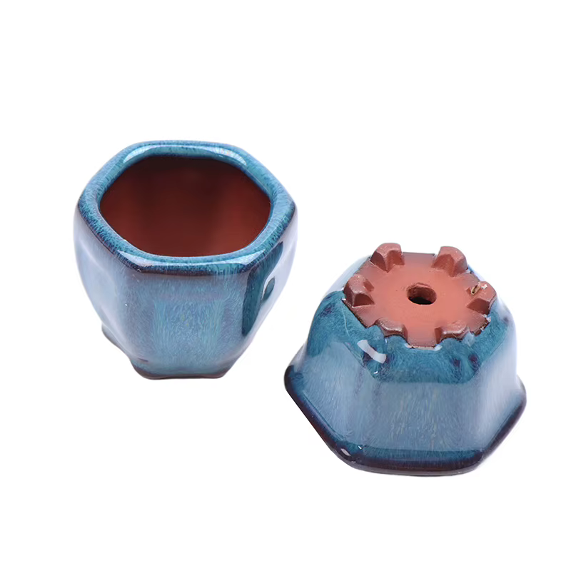 Mini pots de plantes avec trous