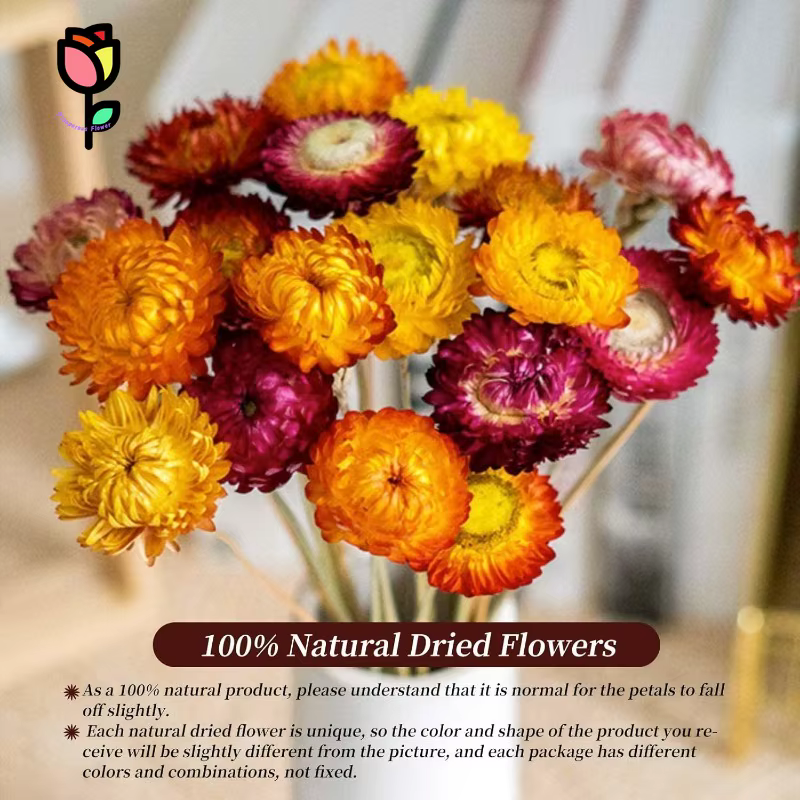 Fleurs de marguerite naturelles, 15 tiges, marguerites multicolores, tournesols artificiels, fleurs sèches d'automne, fleurs oranges, bouquets DIY pour vase, décoration de la maison