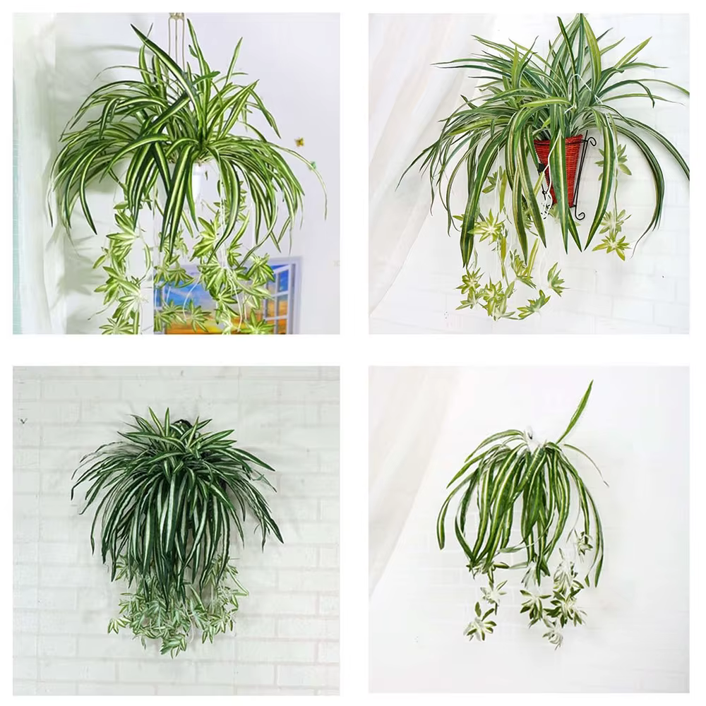 Plantes artificielles factice combo publicité plastique