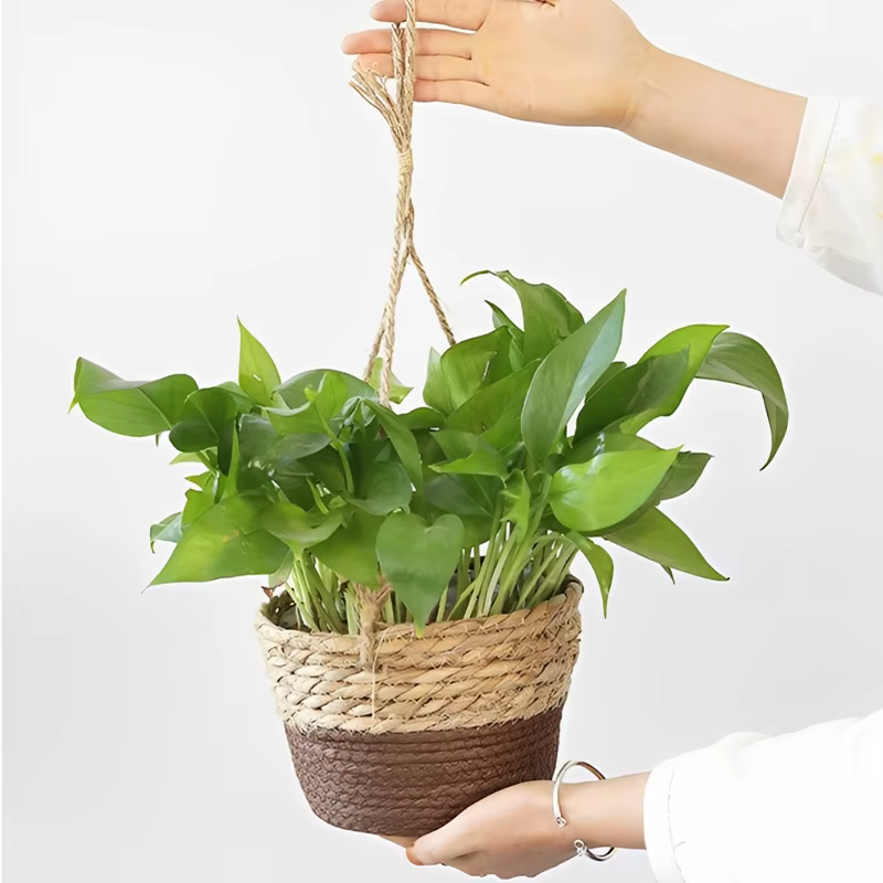 Panier suspendu en paille