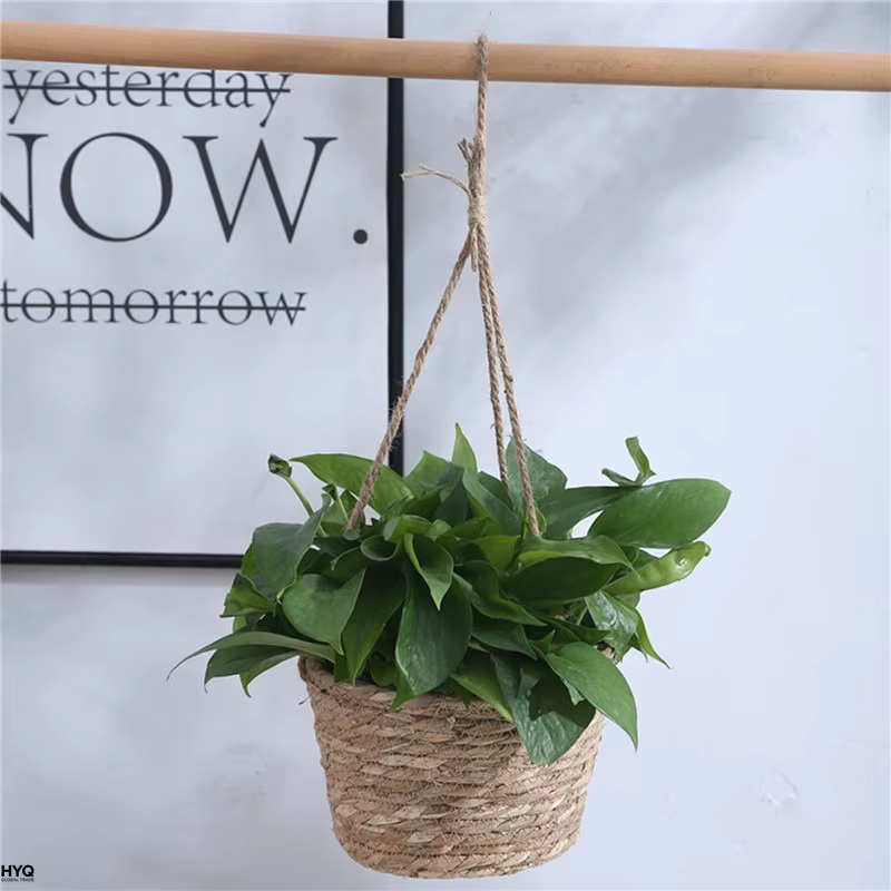 Pot suspendu de jardin en macramé