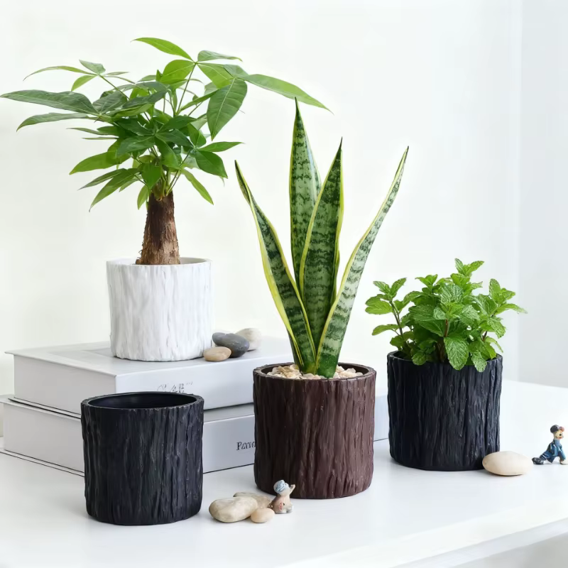 Petites Pots de fleurs pour plantes vertes