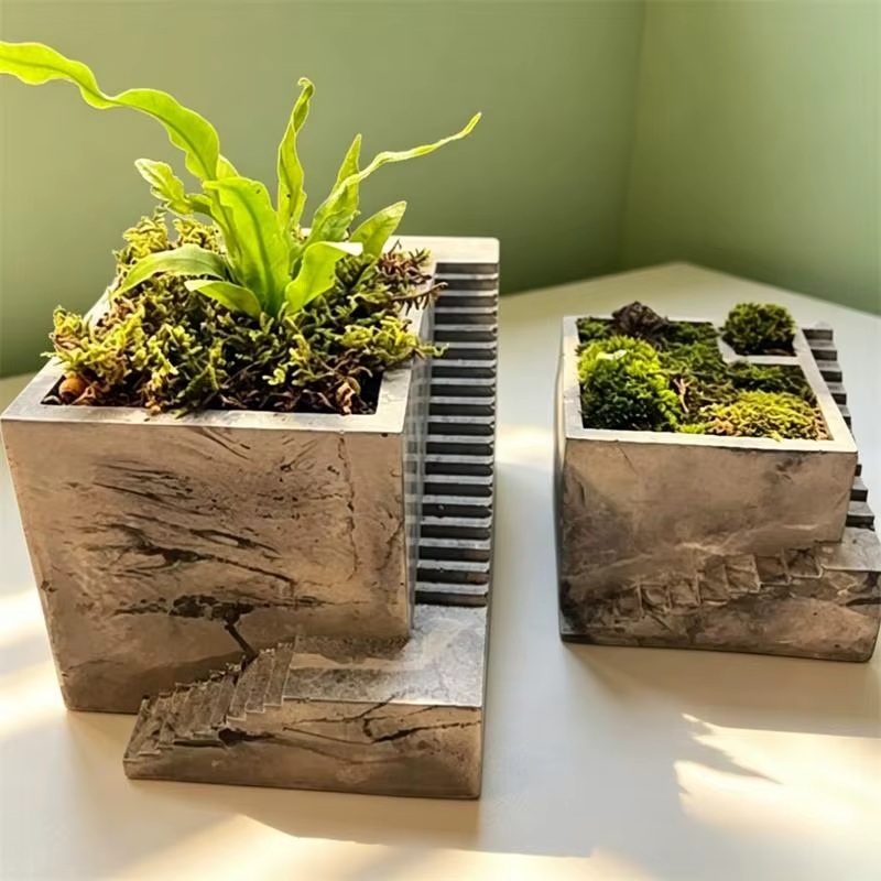 Pot de plantes succulentes en forme d'escalier carré