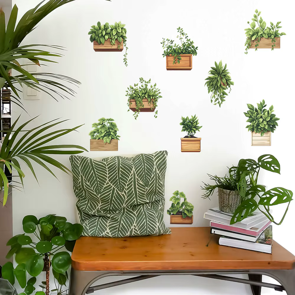 Plantes en pot de plantes vertes fraîches