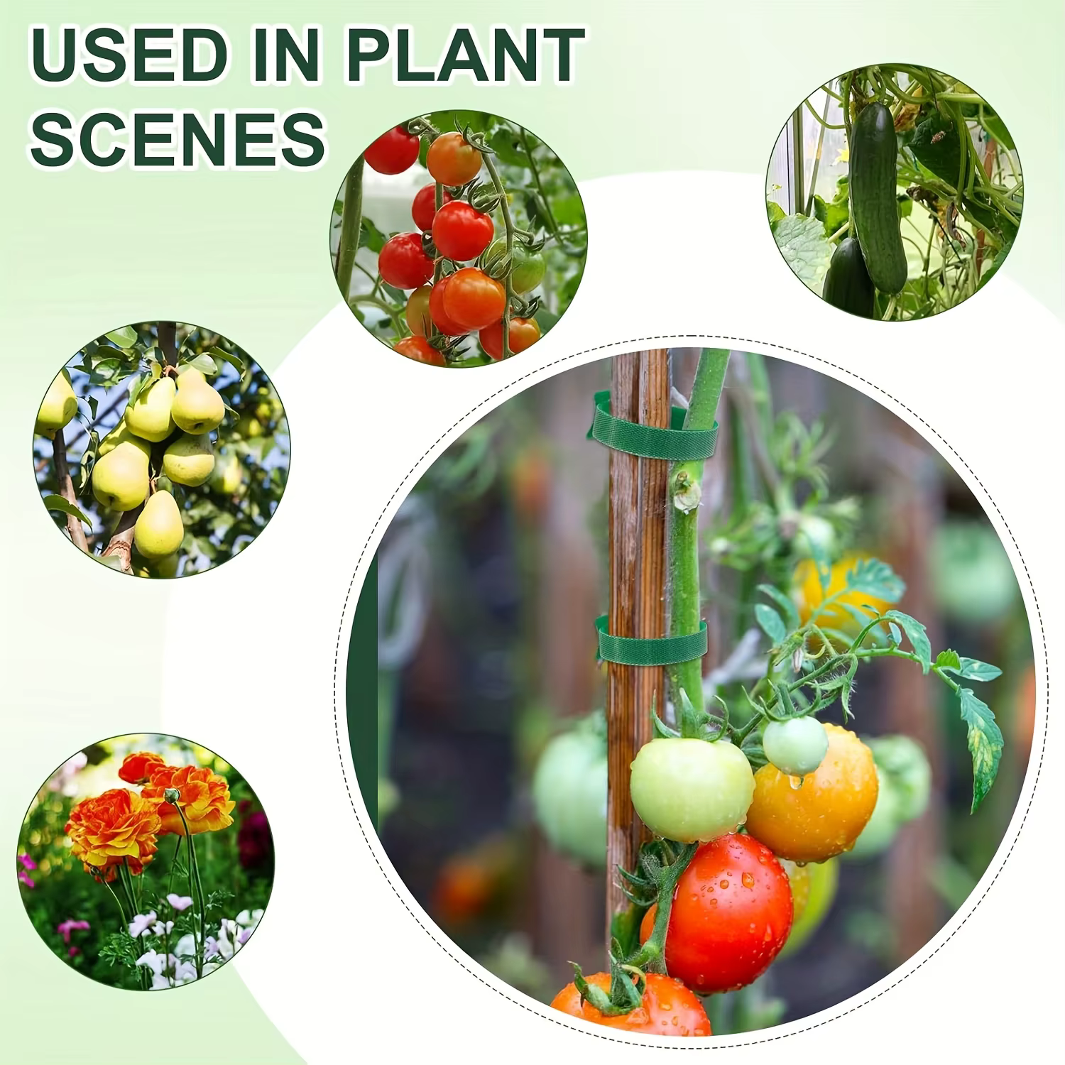 Attaches pour plantes en nylon antidérapantes réglables et réutilisables