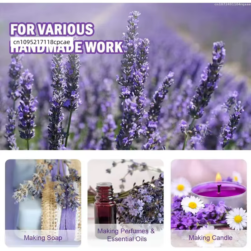 Fleurs séchées de lavande 100% naturelles 6A pour pot-pourri