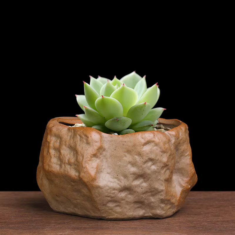 Pot Succulent en céramique résistant à l'usure en forme de pierre Cactus