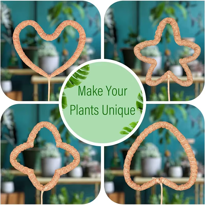 Échafaudage de plantes déformable