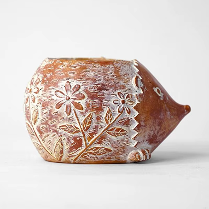 Pots plantes succulentes
