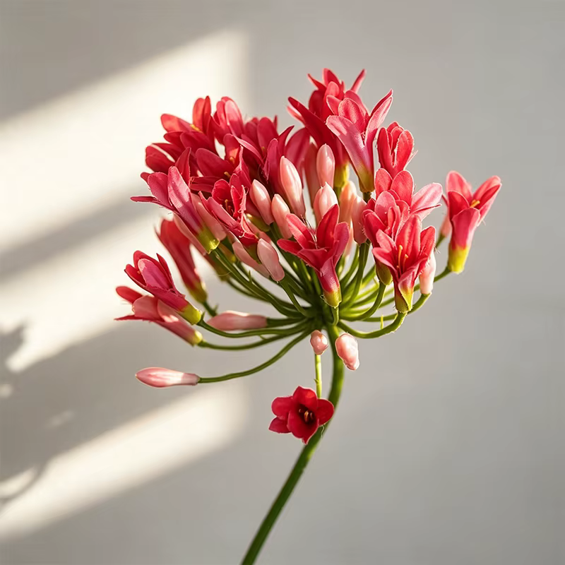 Fleurs artificielles Agapanthus de luxe de 75 cm