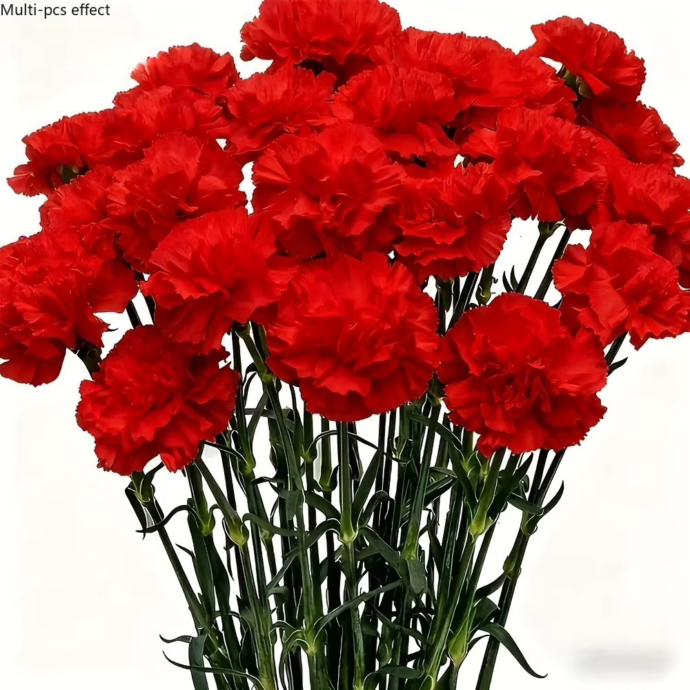 Fleurs de carnations synthétiques