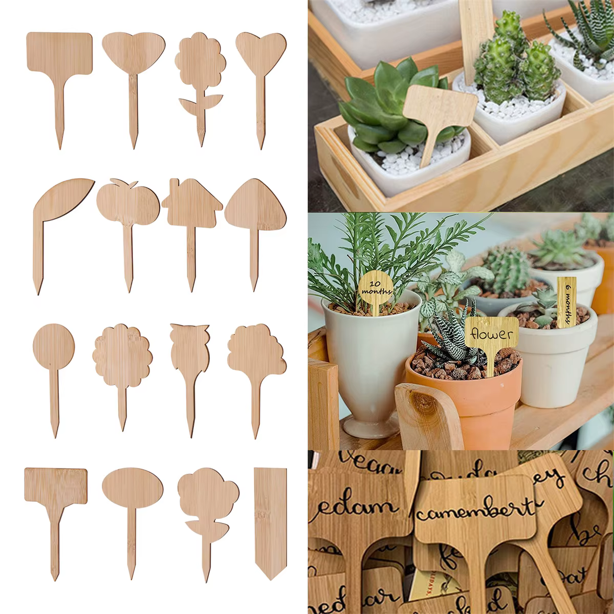 Étiquettes de plantes en bois, marqueurs de jardin multi-type en bambou, graines de bonsaï, fleur en pot, outil pour plantes succulentes, 5/50 pièces