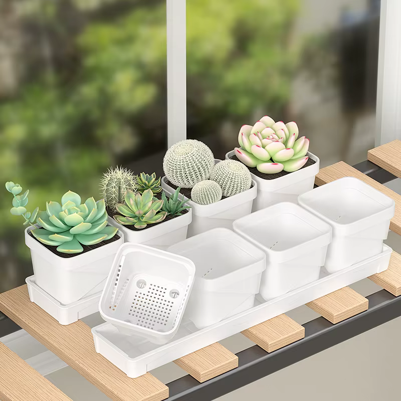 Pot à succulentes minimaliste nordique avec plateau