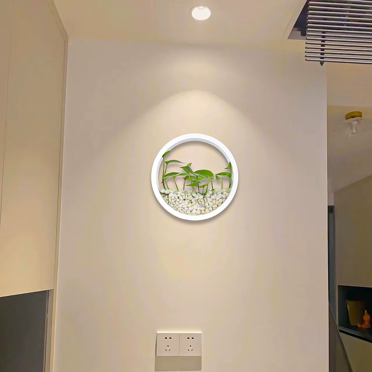 Vase rond mural pour plantes succulentes