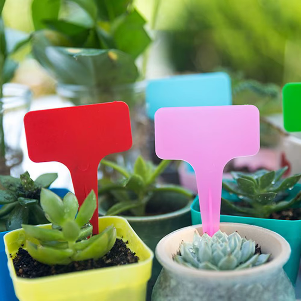 Étiquettes de jardin blanches pour plantes