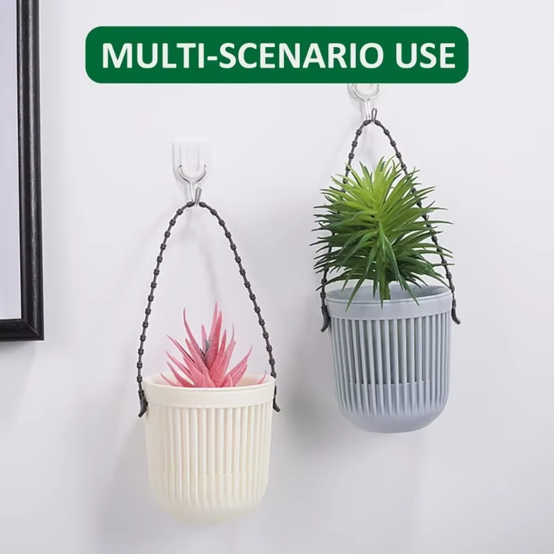 Mir suspendu pour plantes succulentes