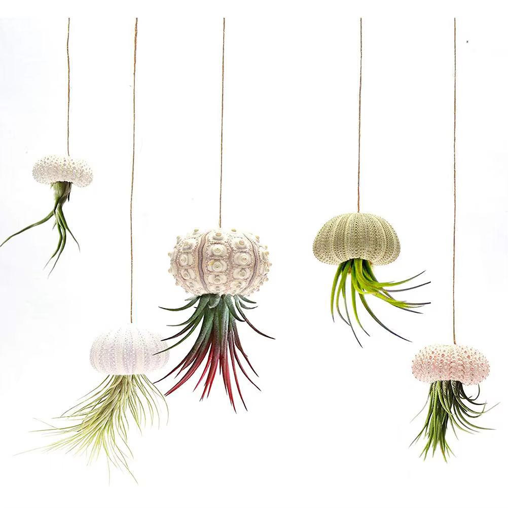 Pot de fleurs suspendu