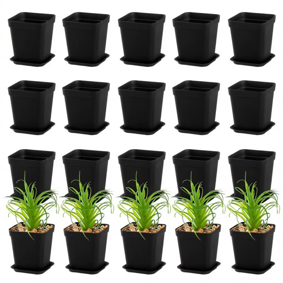Pots de plantes à fleurs carrés noirs de 7cm
