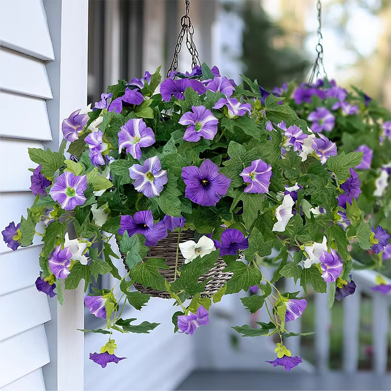 Fleurs de gloire du matin en soie artificielle violette