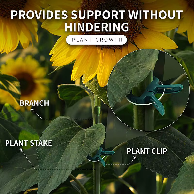 Clips fixes pour plantes