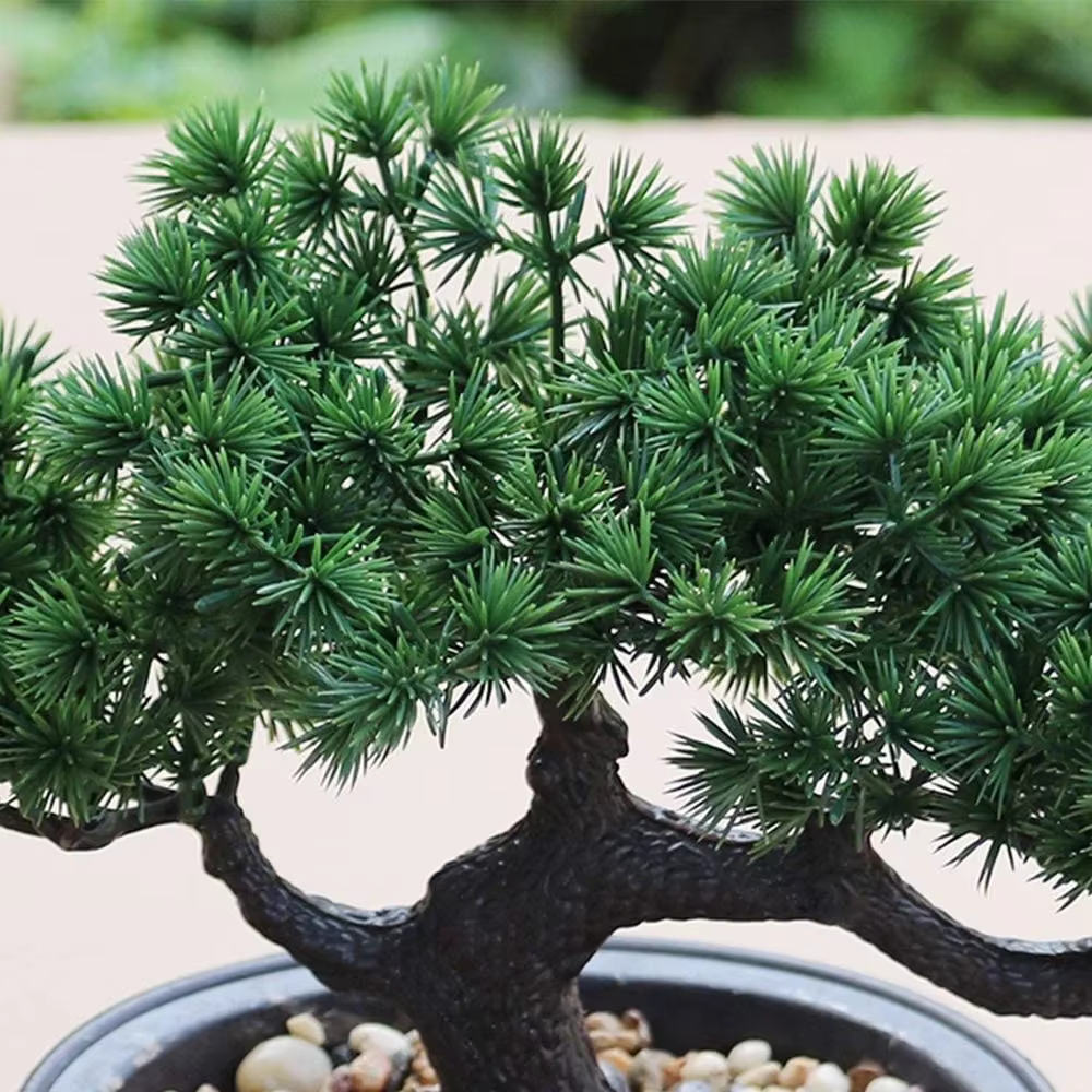 Plante Bonsaï Artificielle en Pot