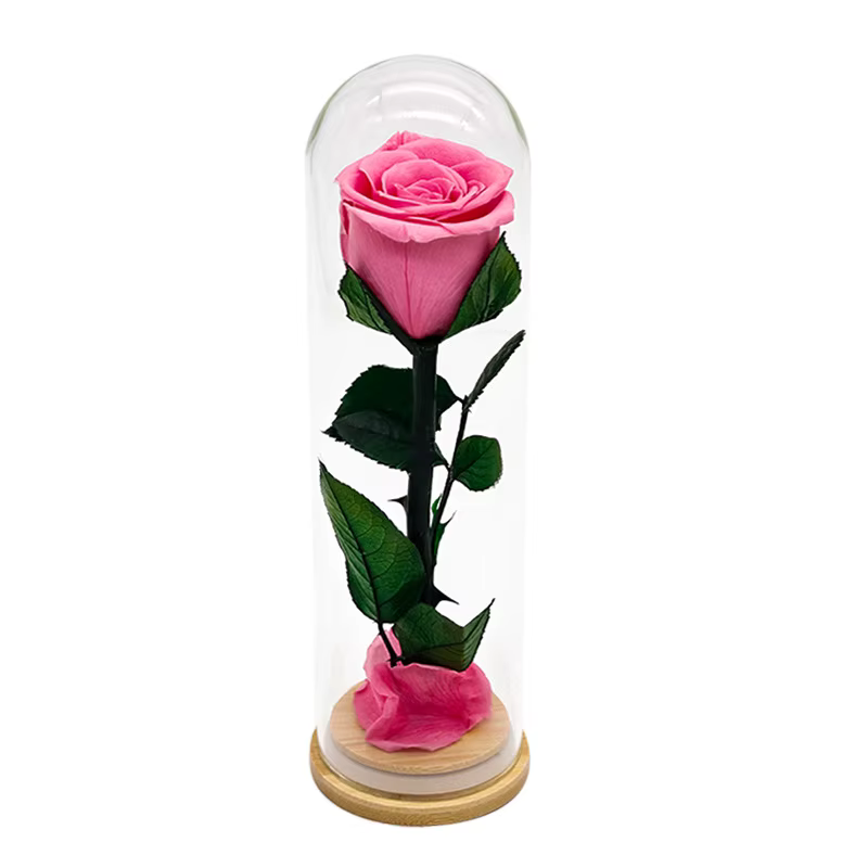 Forever Rose têtes couvercle en verre fini fleurs conservées fête des mères saint valentin anniversaire cadeaux créatifs pour copines