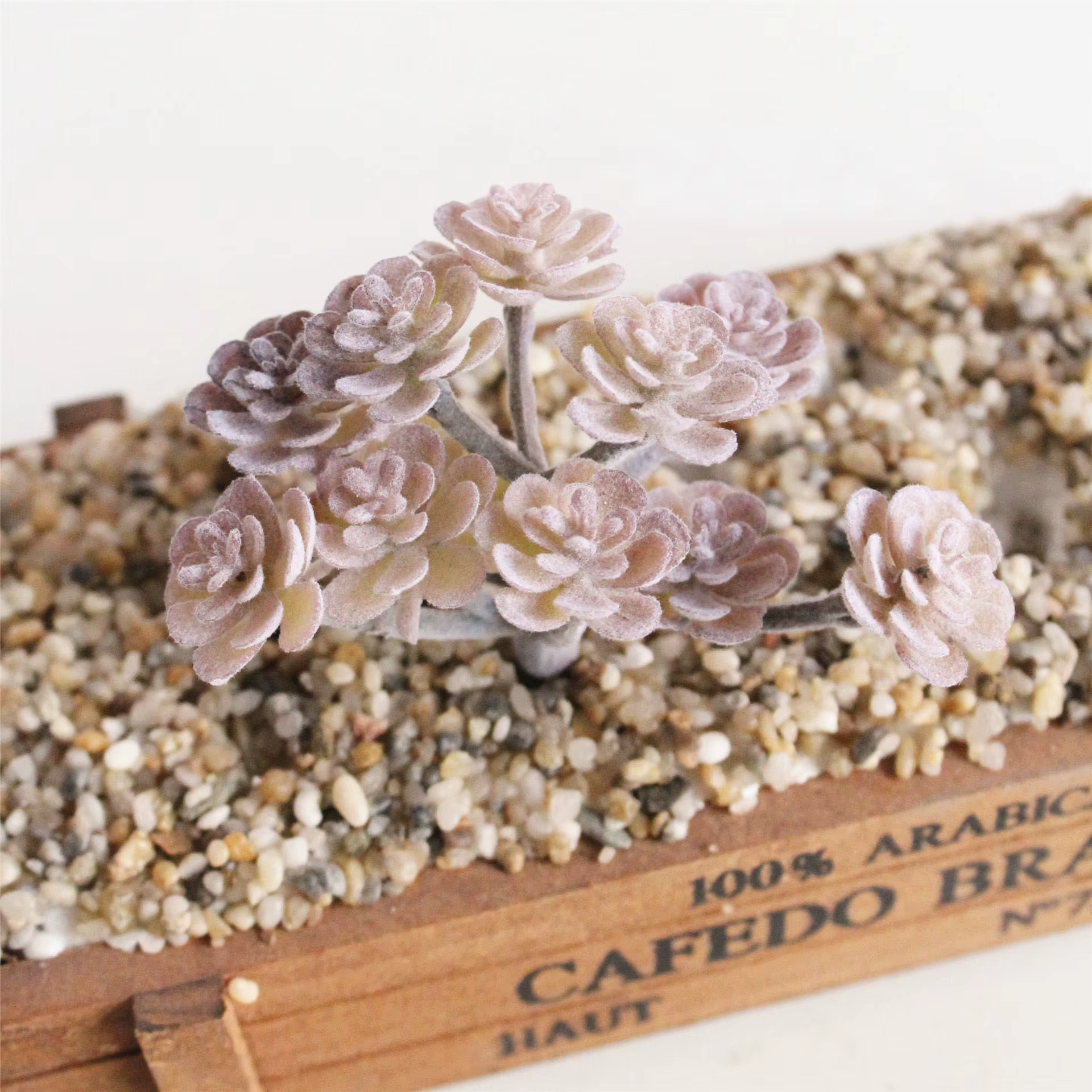 Plantes succulentes artificielles floquées en violet