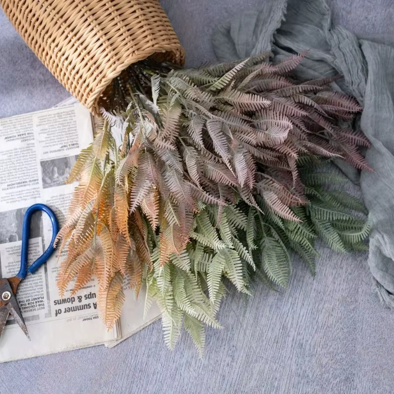 Branche de Cuir oral elu de Fougère