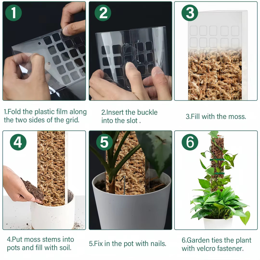 Support de plantes en plastique
