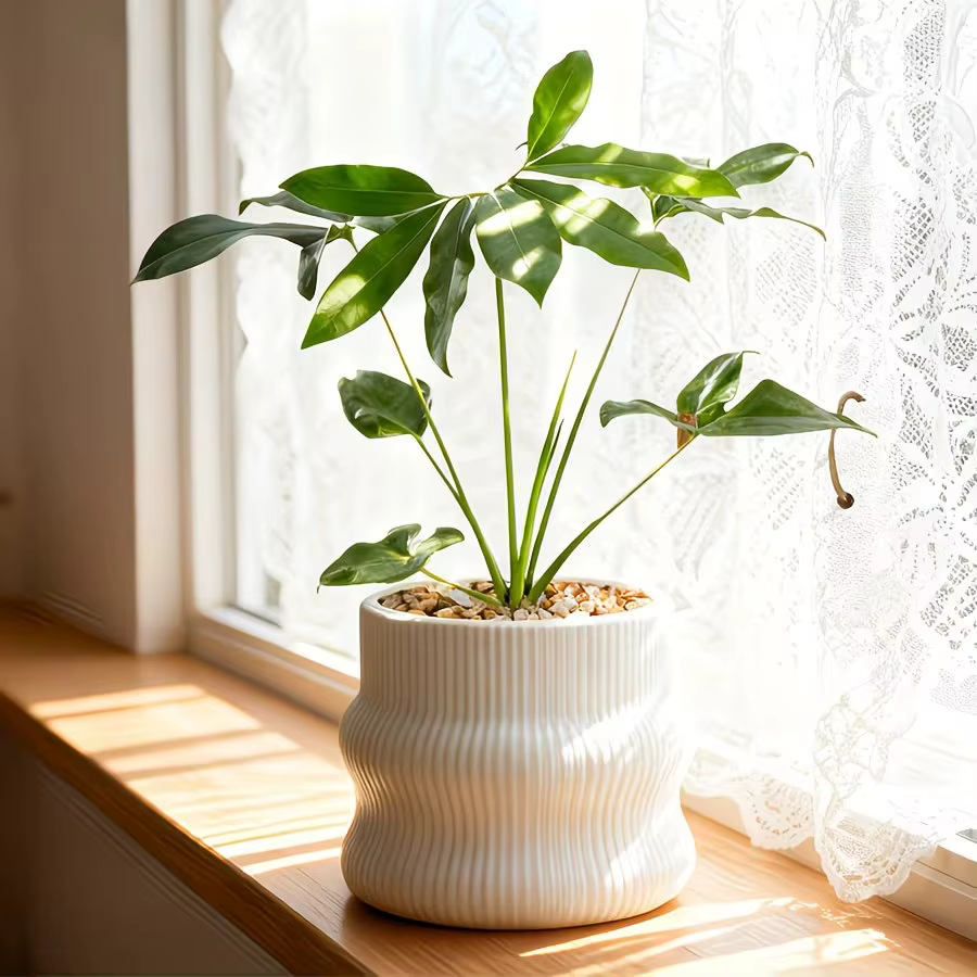 Petit pot de fleurs en plastique imitation céramique