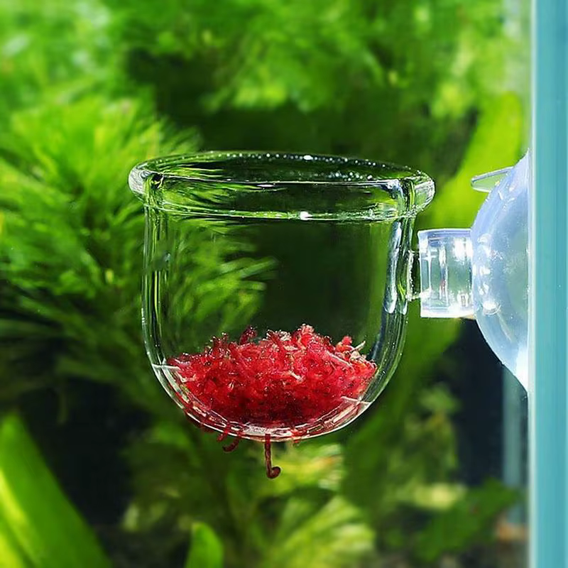 Pot d'Aquarium en Acrylique avec Ventouse pour Plantes d'Eau
