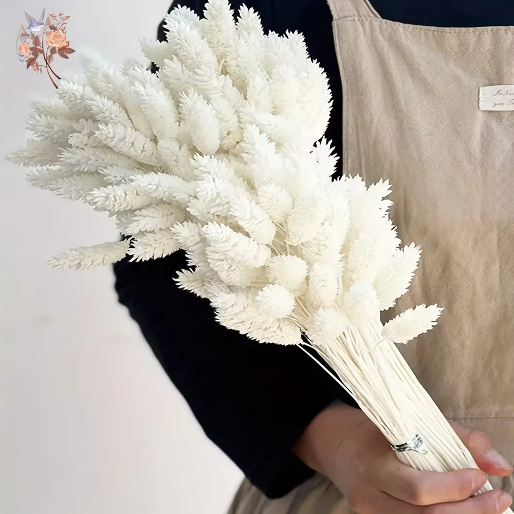 Bouquet de pierres précieuses de phaladditif séchées éternelles