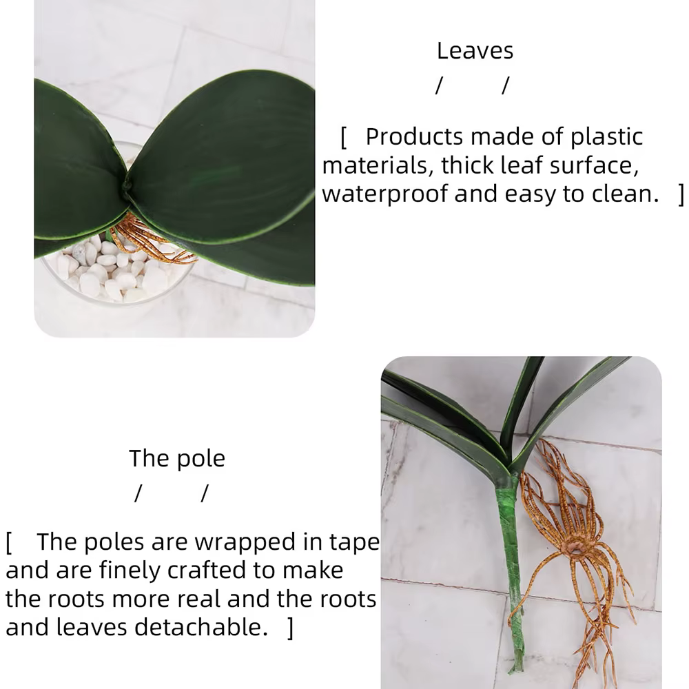 Simulation de Phalaenopsis artificielle