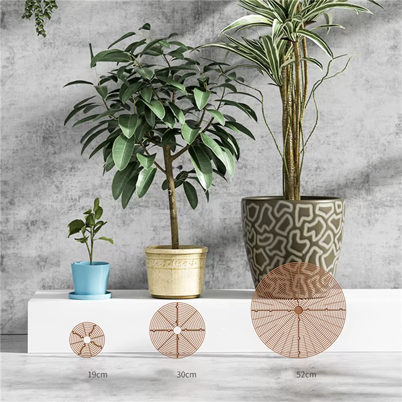 1PC Pot de plante garde de sol avec clous Pot