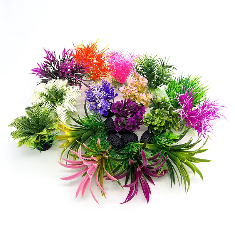 Plantes d'aquarium de petite taille