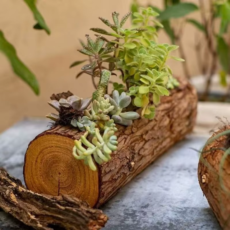 Jardinière succulente en bois – Boîte à fleurs murale rustique en bois massif