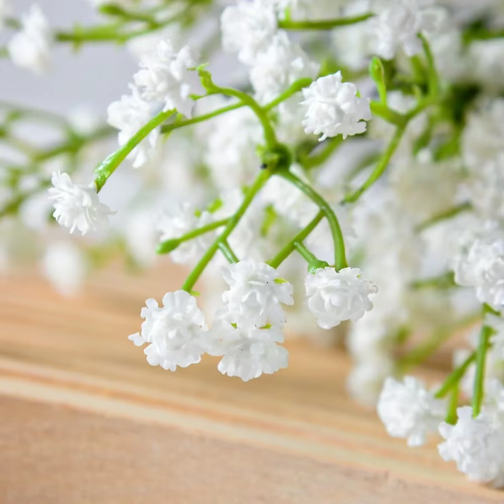 90 Têtes de Fleurs Artificielles pouvez-vous psophila Blanches de 52cm