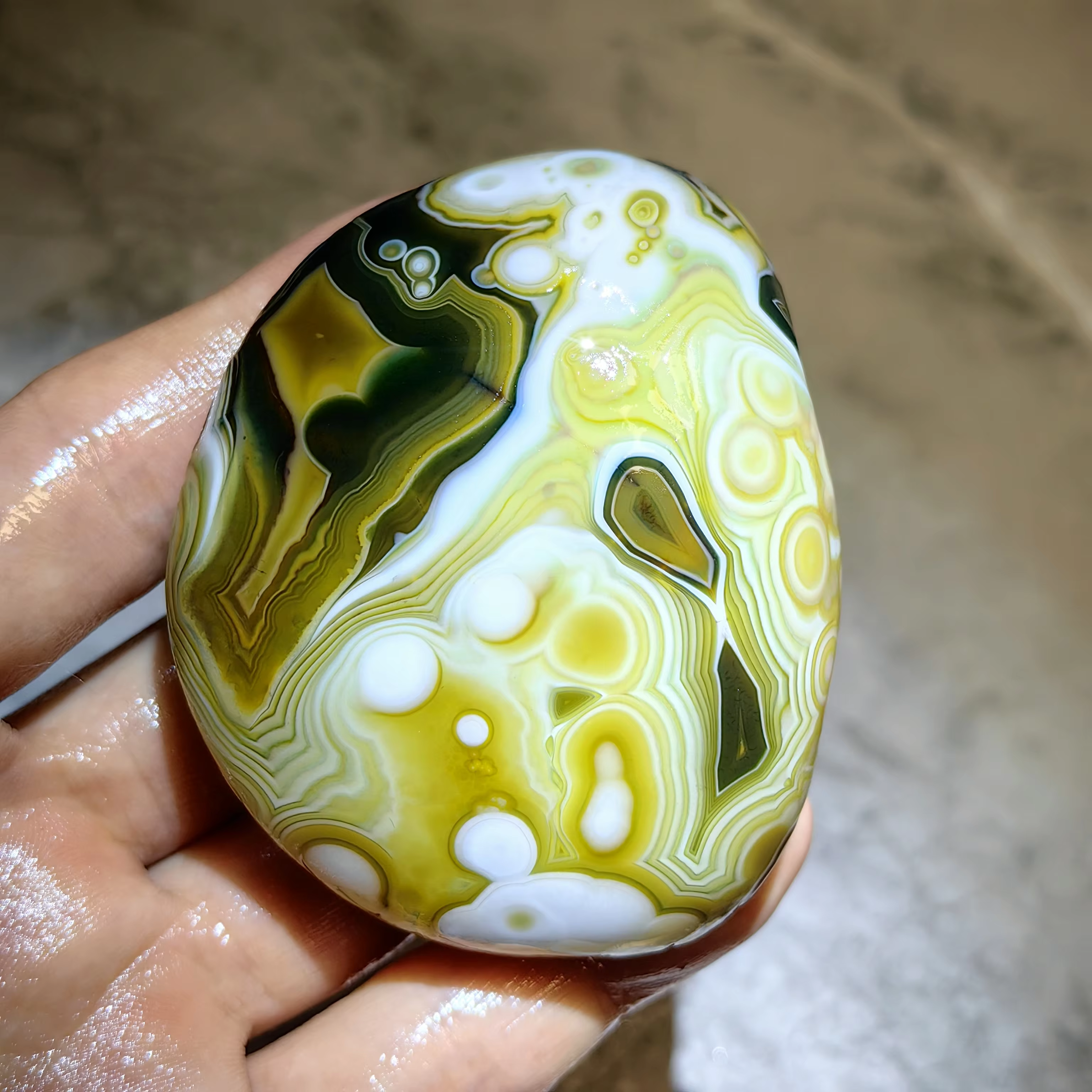   Pierres de palmier en agate naturelle pure, agate œil de chat, agate œil de fleur, pierres brutes, accessoires de décoration intérieure, bijoux et décoration DIY