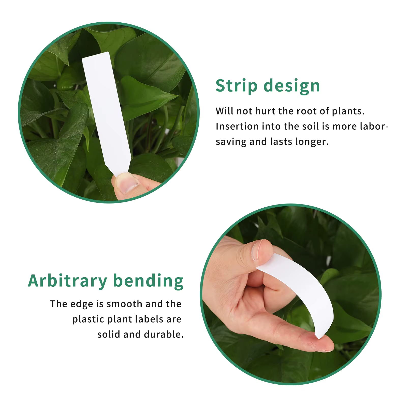 Étiquettes de marquage pour plantes