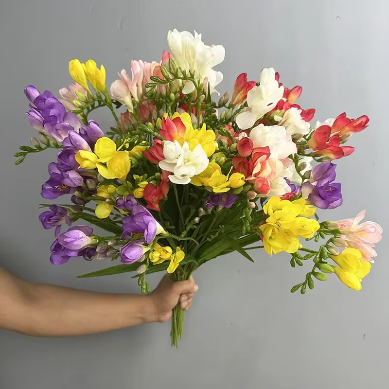 Simulation de Branches de Freesia