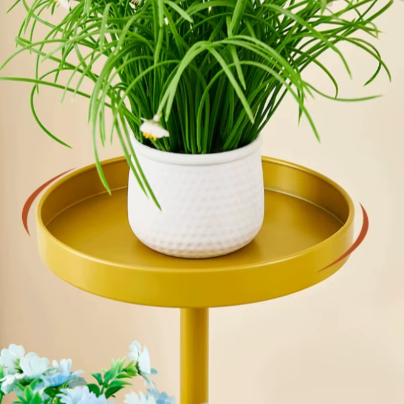 Étagère Flottante Dorée Européenne pour Plantes d'Intérieur