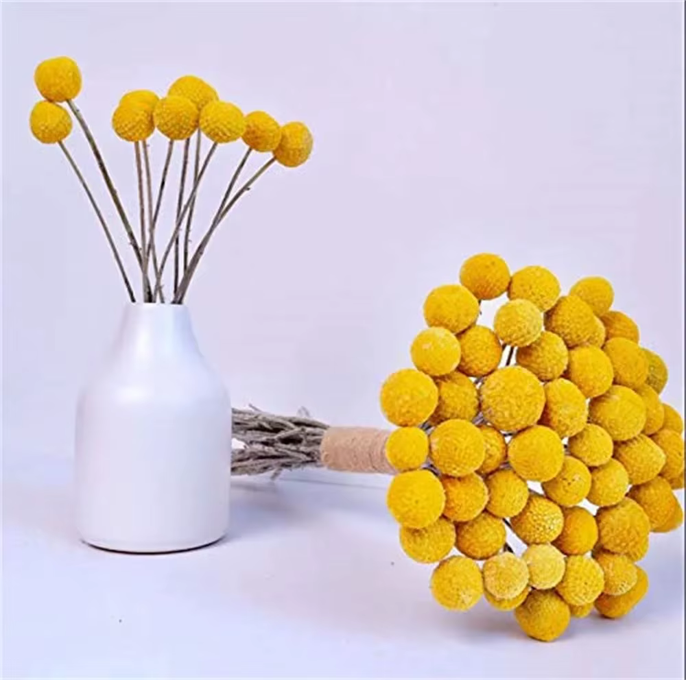 Bouquet de boules de boutons de Billy jaunes