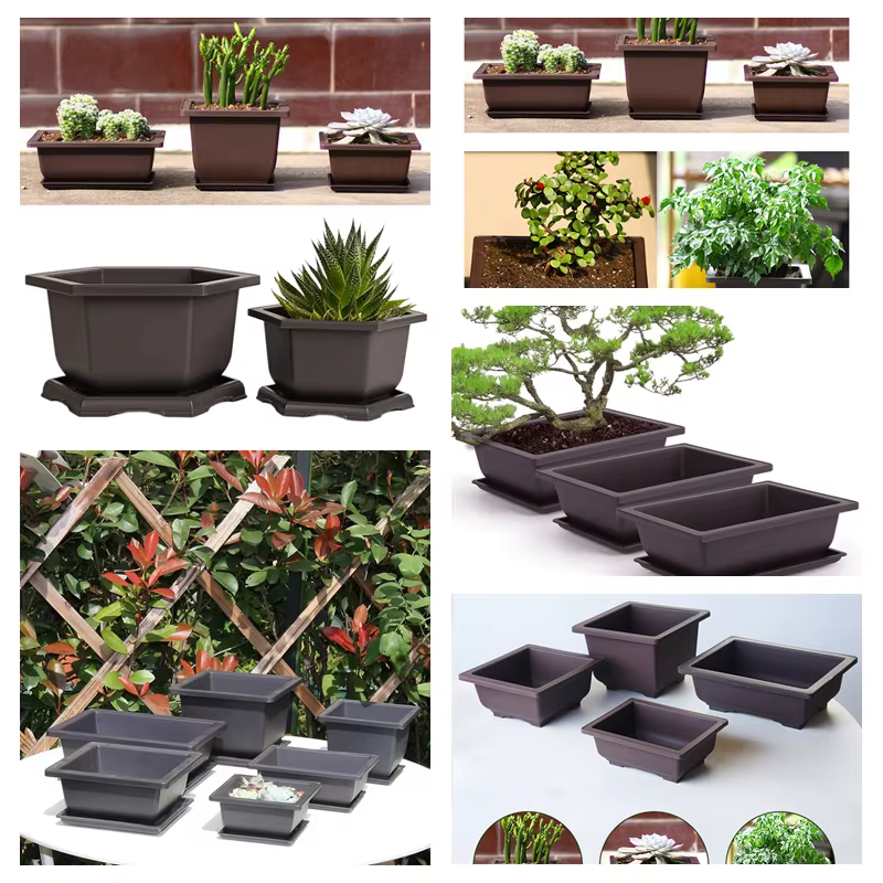 Pot de fleurs de bonsaï en plastique