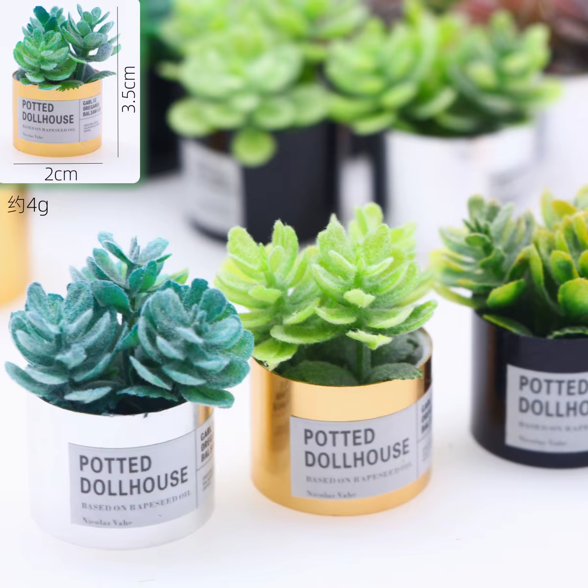 Plante verte l'inventaire en pot