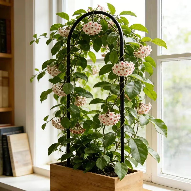 Lot de 2 treillis en métal en forme de U pour plantes grimpantes