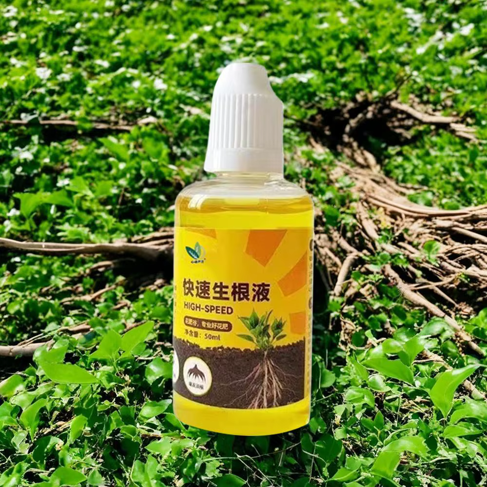 Agent d'enracinement rapide pour plantes