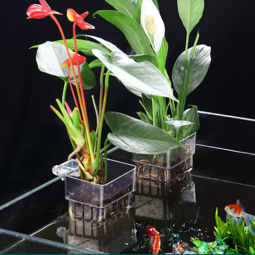 Panier de plantation hydroponique pour Aquarium de poissons