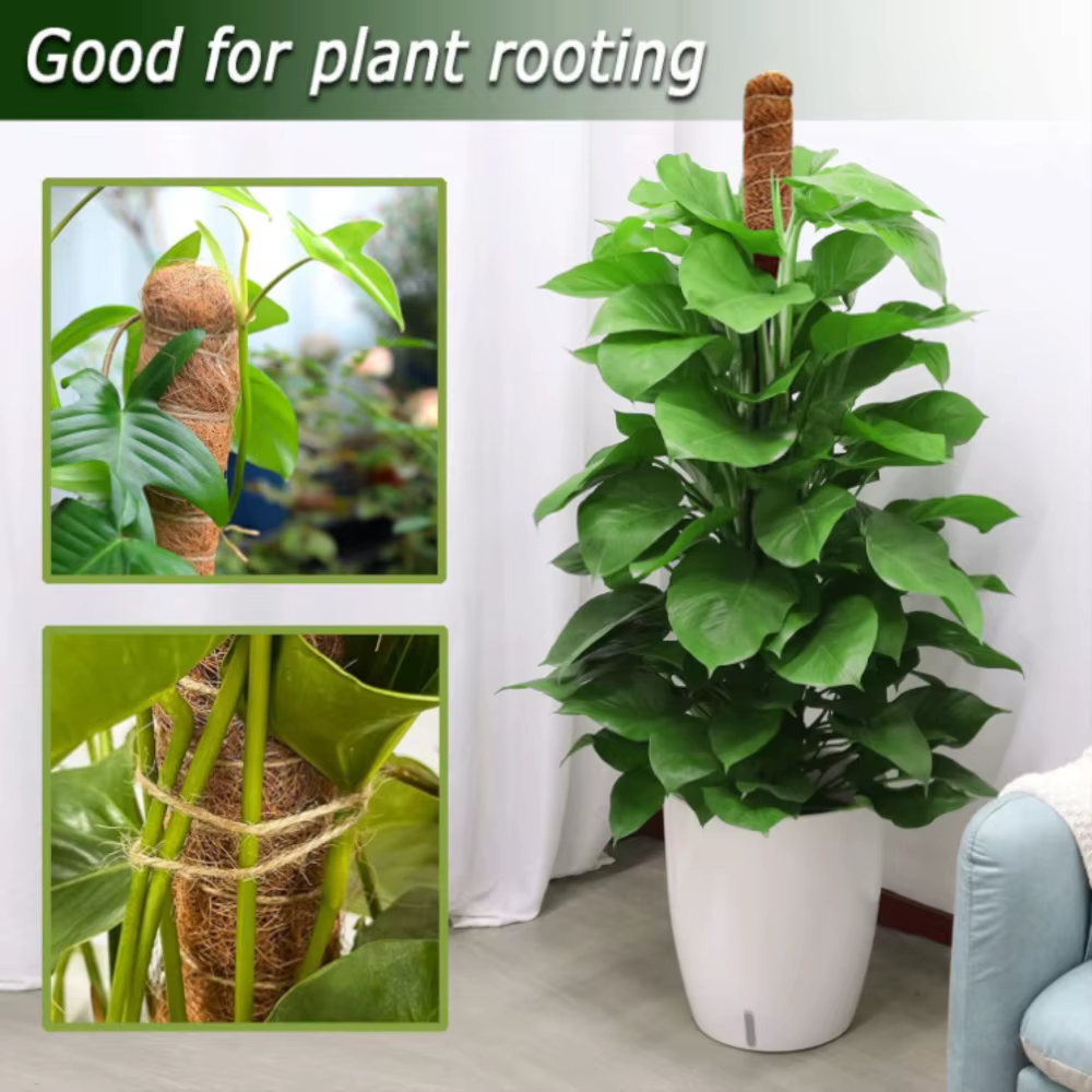 Support d'escalade pour plantes pliables