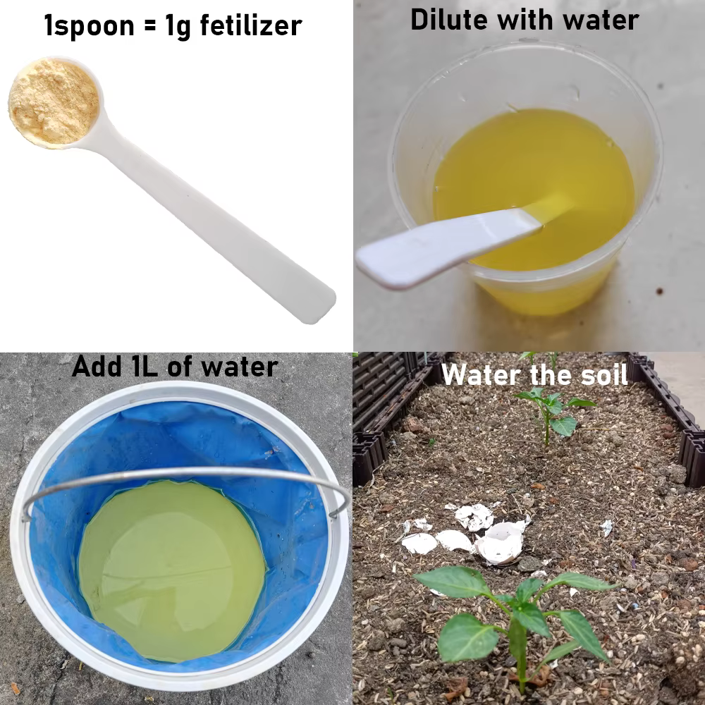 Beauveria – engrais microbien entièrement soluble dans l'eau
