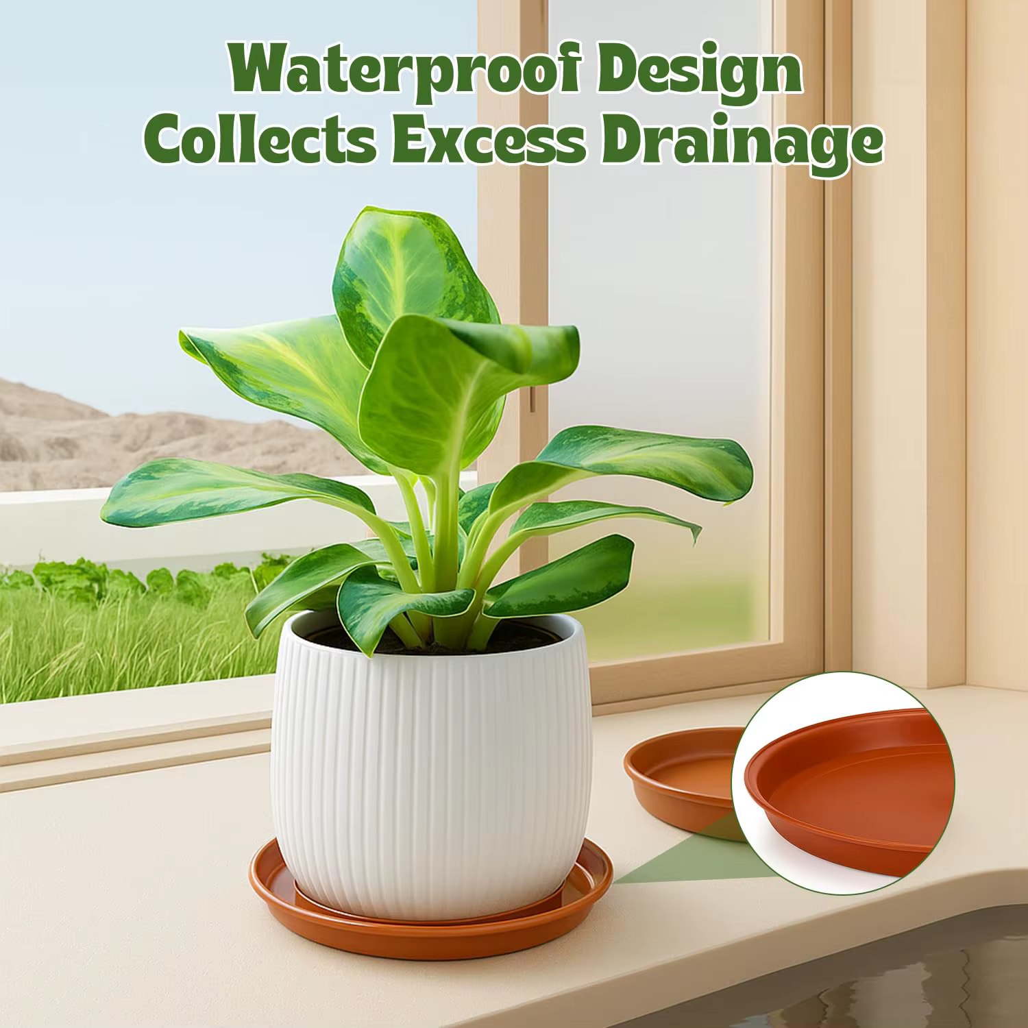 Paquet de 12 soucoupes pour pots de plantes – 4 tailles (18/22/24/26 cm) plateaux anti-goutte en plastique